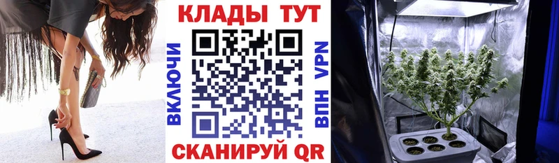 Купить наркотик Королёв А ПВП Конопля МЕФ гидра как войти АМФ КОКАИН ГАШ