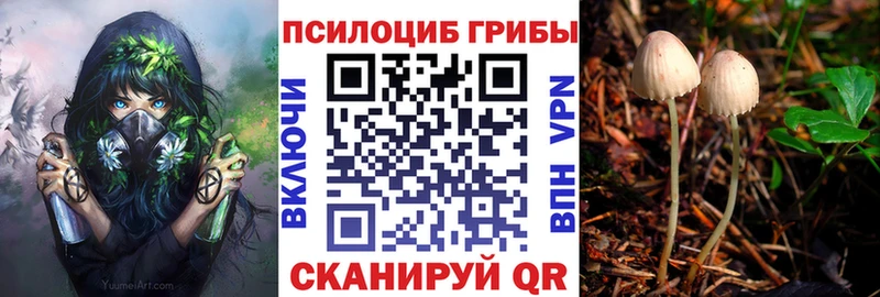 Псилоцибиновые грибы Cubensis  Королёв 
